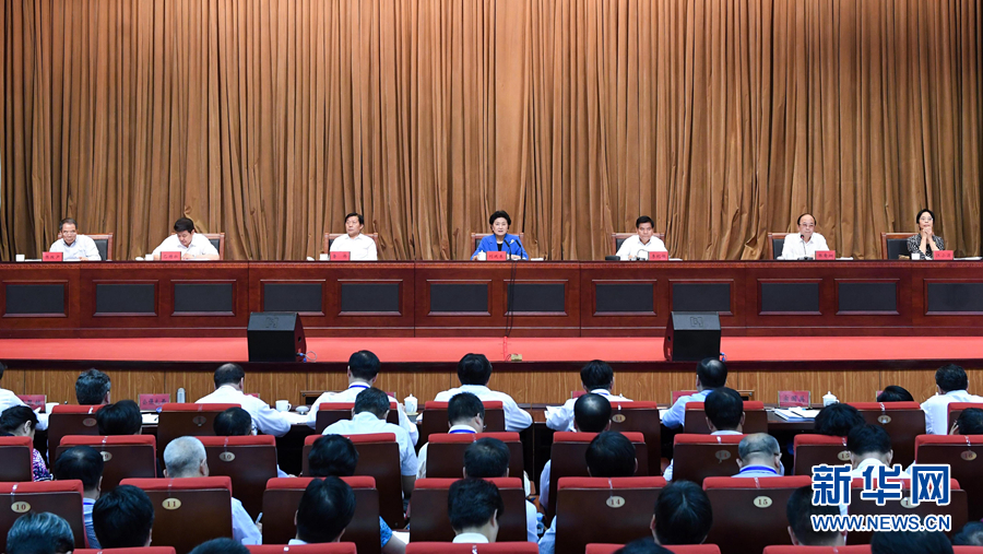 6月25日，全國(guó)民族團(tuán)結(jié)進(jìn)步創(chuàng)建經(jīng)驗(yàn)交流現(xiàn)場(chǎng)會(huì)在內(nèi)蒙古興安盟召開，中共中央政治局委員、國(guó)務(wù)院副總理劉延?xùn)|出席會(huì)議并講話。 新華社記者 陳曄華 攝