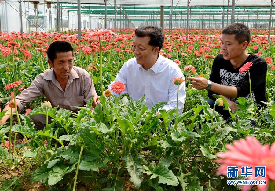 （新華全媒頭條·愛國情 奮斗者·圖文互動）（8）致敬，為祖國獻(xiàn)身的英雄！