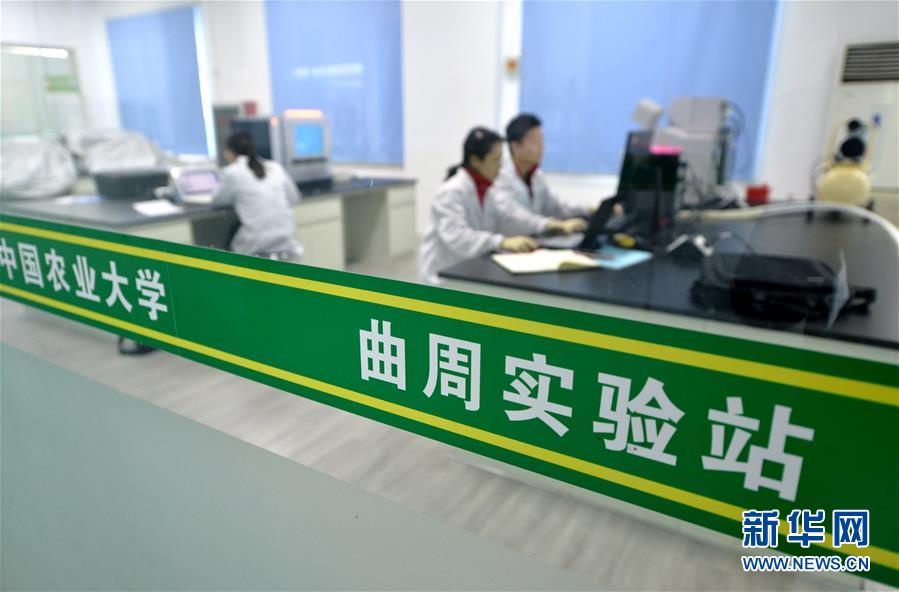 （愛國情 奮斗者·圖文互動）（3） “解民生之多艱，育天下之英才”——中國農(nóng)大師生扎根田野書寫奉獻之歌