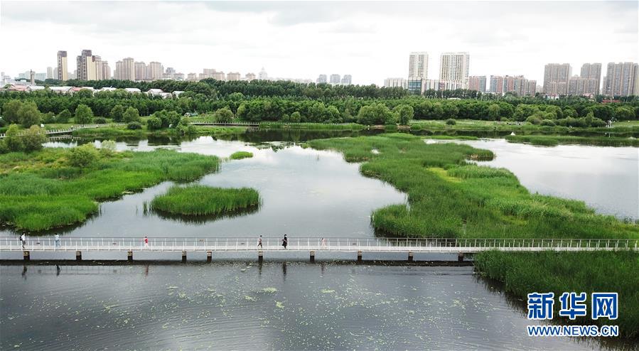 （走向我們的小康生活·圖文互動）（1）水清、地綠、空氣新——最北省份黑龍江繪就生態(tài)治理新畫卷