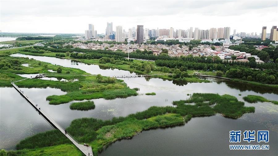 （走向我們的小康生活·圖文互動）（2）水清、地綠、空氣新——最北省份黑龍江繪就生態(tài)治理新畫卷