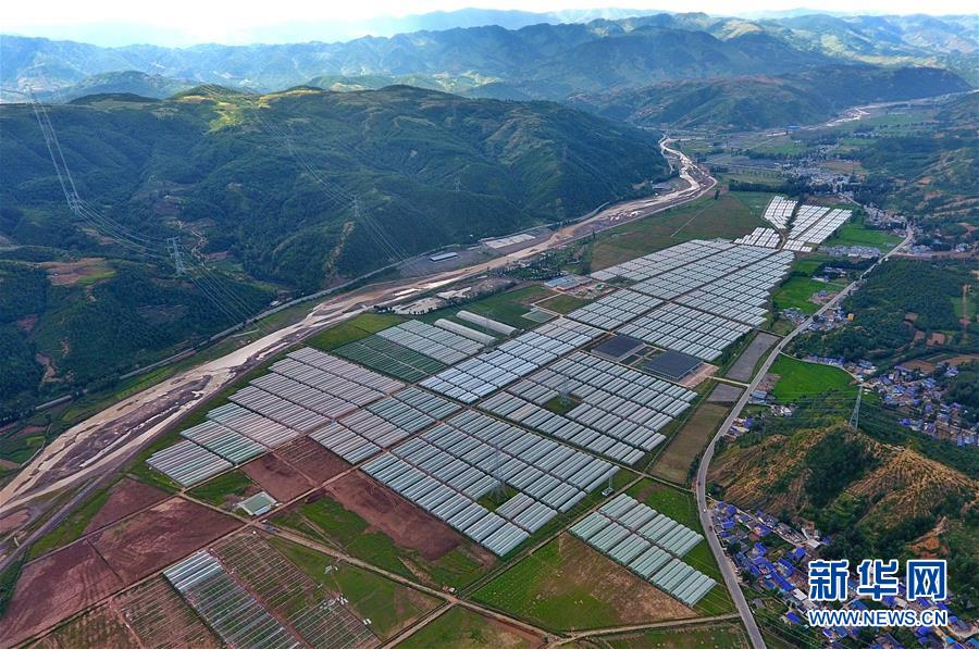 （走向我們的小康生活·決戰(zhàn)決勝脫貧攻堅(jiān)·圖文互動(dòng)）（2）把產(chǎn)業(yè)興盛之“根”扎進(jìn)大涼山
