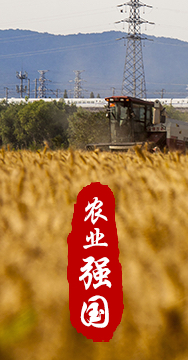 農(nóng)業(yè)強(qiáng)國是社會(huì)主義現(xiàn)代化強(qiáng)國的根基。