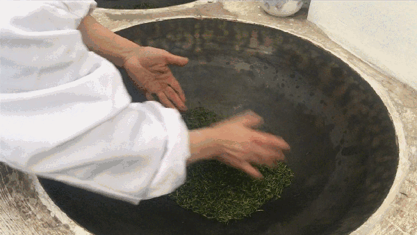 申遺，把雨花茶手藝傳承下去