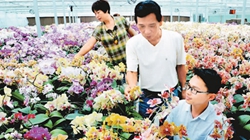 臺(tái)商眼中的改革開(kāi)放：風(fēng)景這邊獨(dú)好 要去，要去，要去！