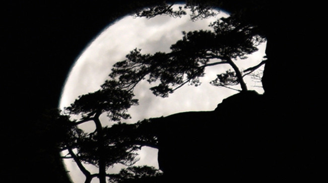 太驚艷！明月奇松 夢(mèng)幻同框