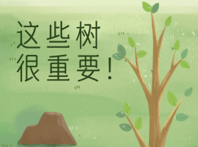 這些樹很重要！